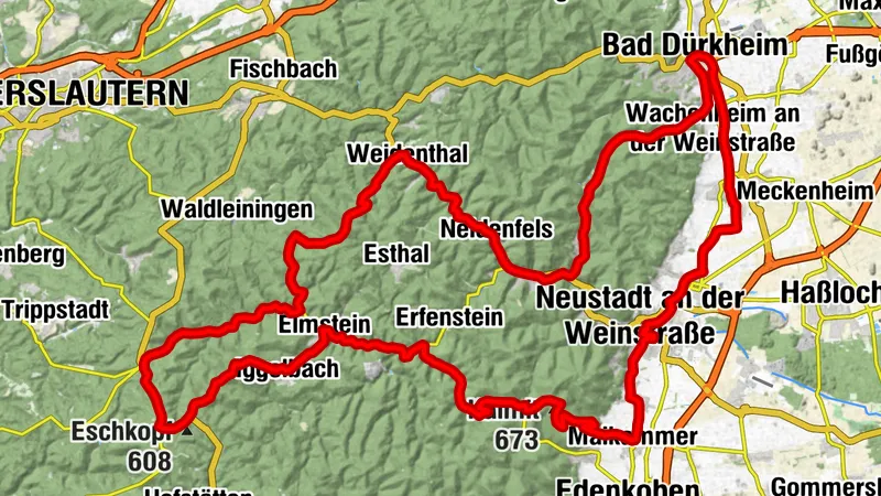 Rennradrunde an der Mittelhaardt - auf den Spuren der Deutschlandtour in der Pfalz