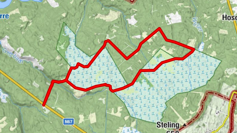 Neujahrswanderung 2020