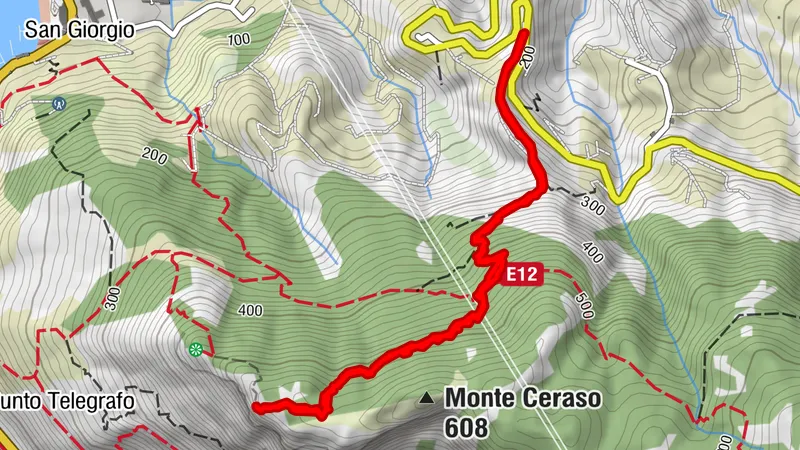Monte Ceraso - Fontana del Lauro, Albero Monumentale, Vetta