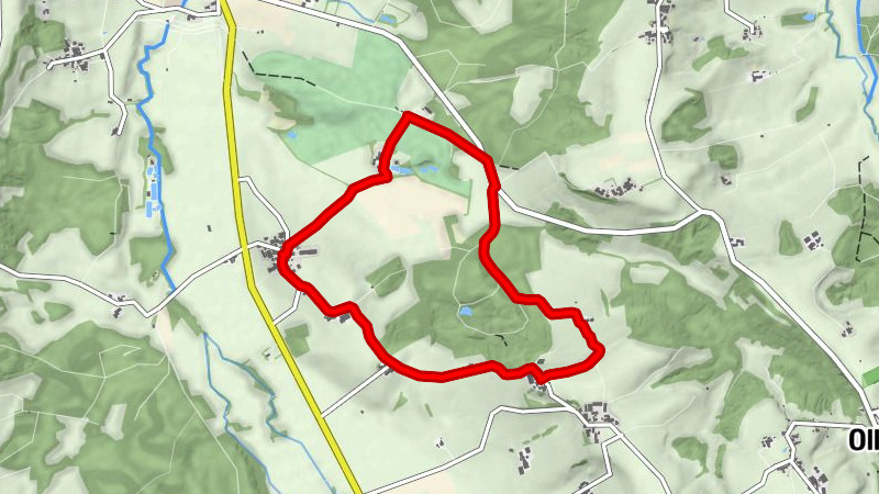 Rund um den Bühler Wald