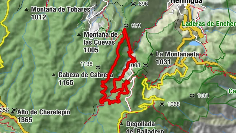 El Cedro