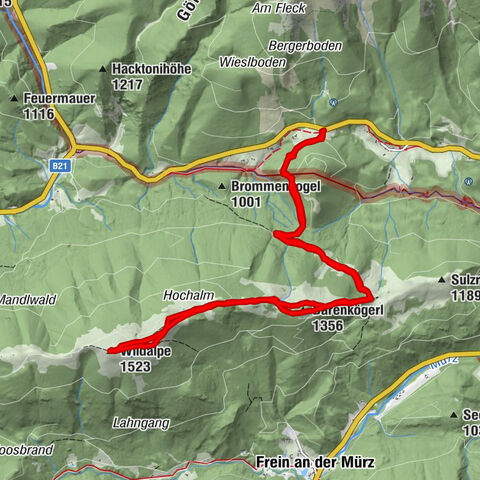 Wildalpe vom Lahnsattel