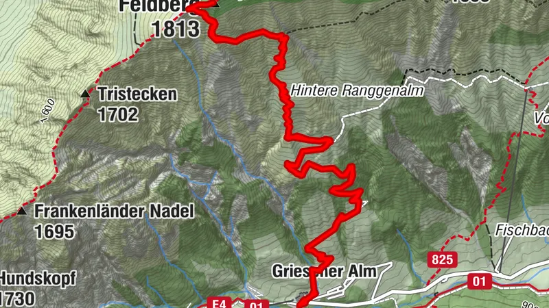 Griesner Alm - Feldberggipfel 