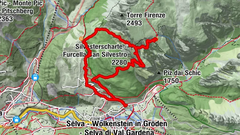 Selva - Juac - Stevia - Steviola and back