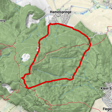 Süntel-Hamelspringe-Süntelturmrunde