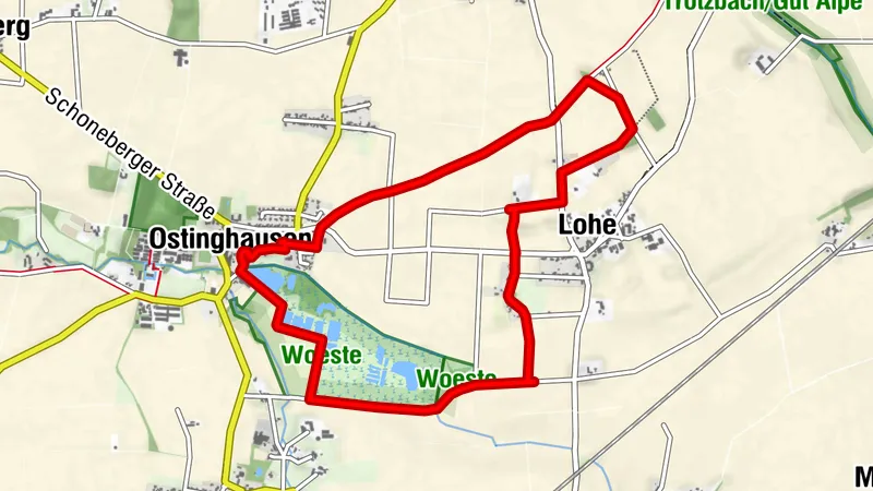 Moorgebiet Woeste Ostinghausen