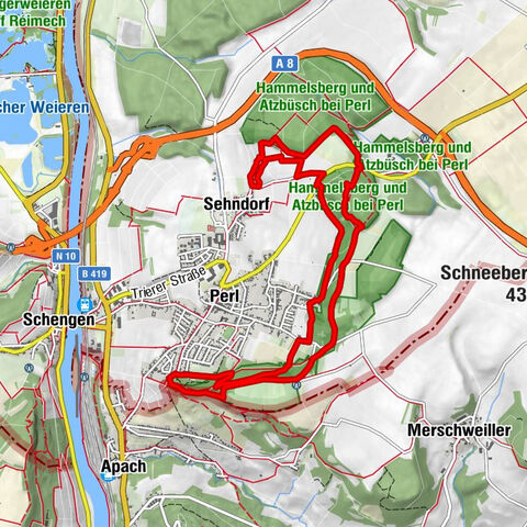 Trailtour durch Weinberge mit tollen Aussichten ins Dreiländereck
