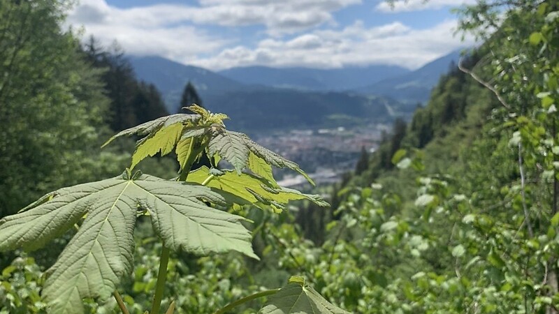Karte