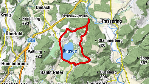 Durch den Wolschartwald (8)