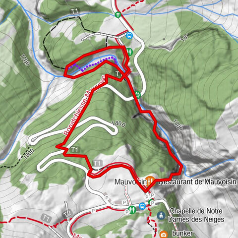 Via Ferrata in der Mauvoisin-Schlucht