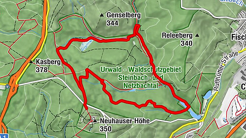Wilder Netzbachpfad